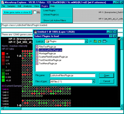 Selecting the loaded plugin command from the Plugin menu