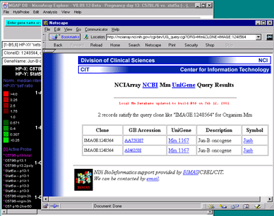 Example of UniGene popup Web browser page for current gene