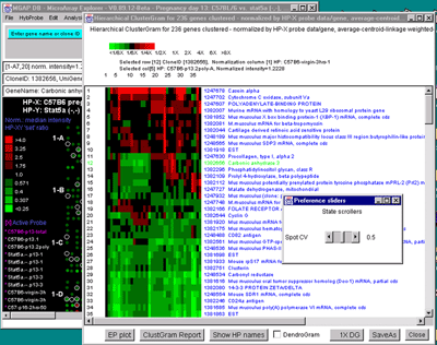 Hierarchical clustering showing ClusterGram with current gene in green