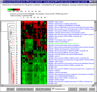 Hierarchical clustering showing ClusterGram and Dendrogram with 
thresholded dendrogram in red