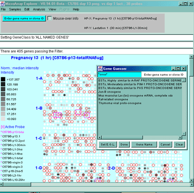 Gene 'Guesser' used to find a particular gene or subset of genes by key phrase