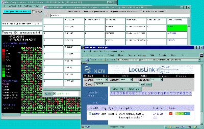 Example of LocusLink popup Web browser page for current gene