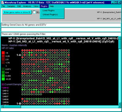 Loading a Plugin from the Plugins 'Load plugin' menu