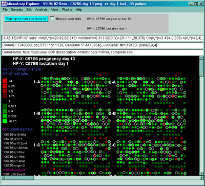 Pseudoarray image show color ratio plot for median normalized data 
for HP-X and HP-Y 'set' samples