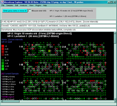 Pseudoarray image show color ratio plot for |X-Y| Zdiffs normalized 
data for HP-X and HP-Y 'set' samples