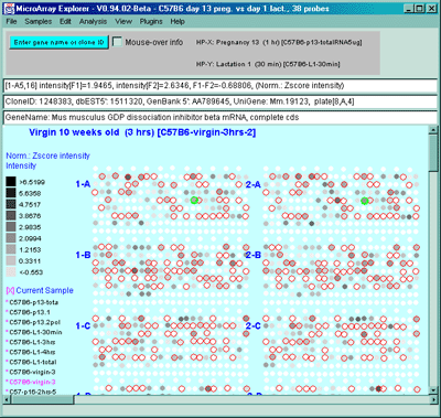 Pseudoarray image show intensity plot for Zscore normalized data for 
single sample