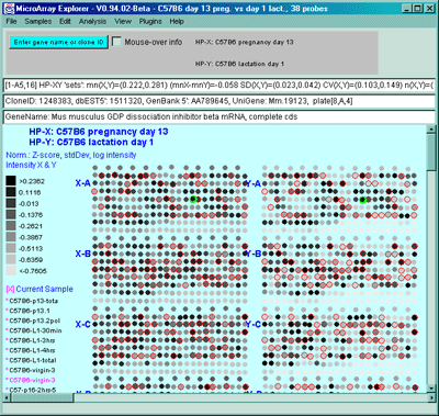 Pseudoarray image show intensity plot for Zscore normalized data 
for HP-X and HP-Y 'set' samples