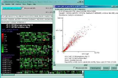 Scatter plot of single HP-X vs HP-Y 'set's of samples