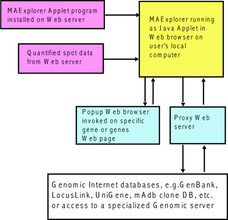 Overview of running MAExplorer as a Web browser applet